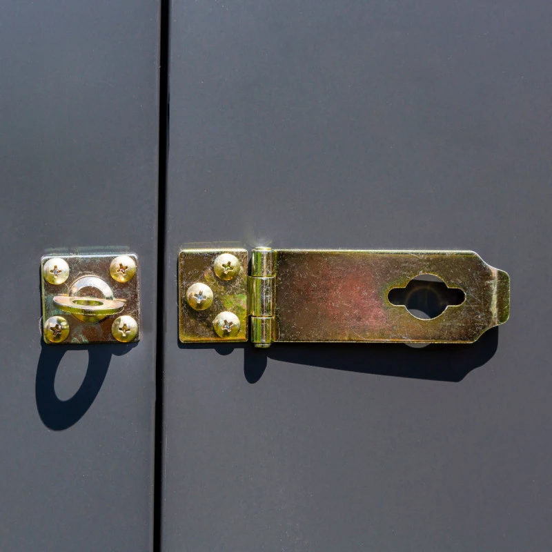 Abri De Jardin 2,4m² Adossé En Acier Galvanisé Anthracite Spacemaker – Image 4